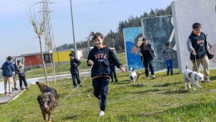 İzmir'de 2 bin 300 patili yuva bekliyor