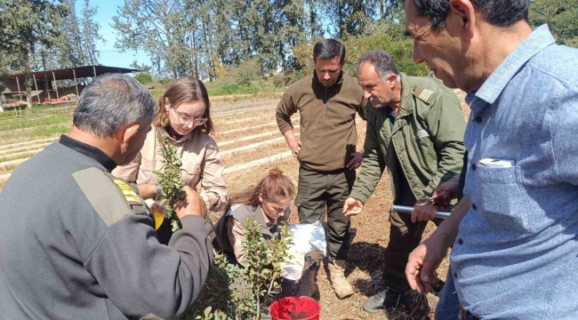 İzmir'in damla sakızı KKTC'de toprakla buluştu