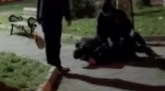 Parkta taşkınlık çıkardılar, görevli bekçilere direndiler