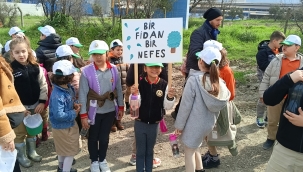 Yanan Sahada Geleceğe Nefes: Küllerinden Doğan Yeni Orman İçin İlk Fidanlar Dikildi