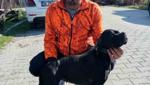 Arıtma tesisindeki çamur çukuruna araçla düşen işçi hayatını kaybetti