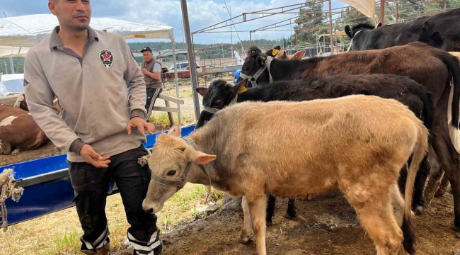 İzmir'de kurban pazarları kurulmaya başladı