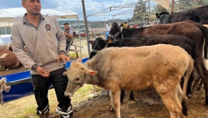 İzmir'de kurban pazarları kurulmaya başladı