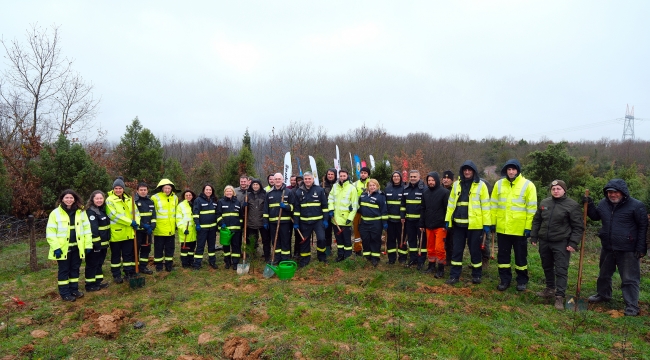 Tüpraş'tan 100 Bin Fidanla Ağaçlandırmaya Destek