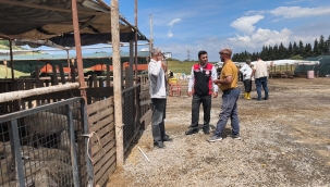 Aliağa'da Kurban Satış Alanlarına Sıkı Denetim