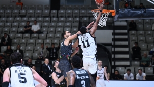 Beşiktaş GAİN, Aliağa Petkimspor'u 81-69 mağlup etti
