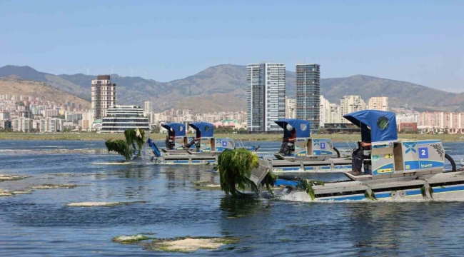 Büyükşehir'den Körfez'de temizlik mesaisi