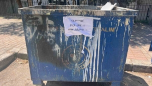 İzmir'de çöpte 33 ölü kedi bulunmasıyla ilgili bir veteriner gözaltına alındı