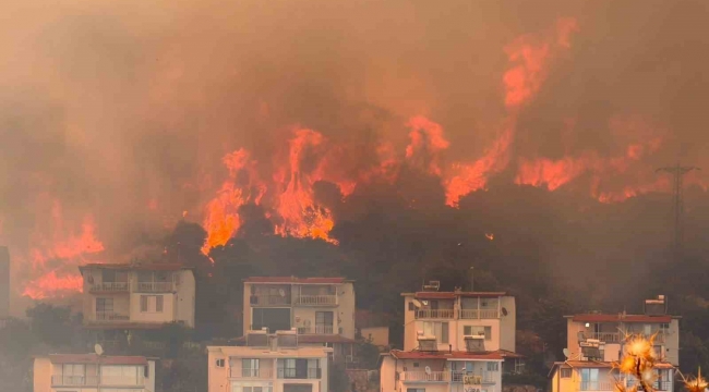 Candarlı makilik alandaki yangın kontrol altında