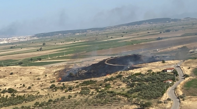 Foça'da makilik alandaki yangın kontrol altına alındı