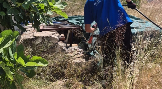 İzmir'de sivrisineğe karşı dev mücadele