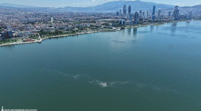 İzmir Körfezi'nde 14'üncü kez kirlilik tespit edildi