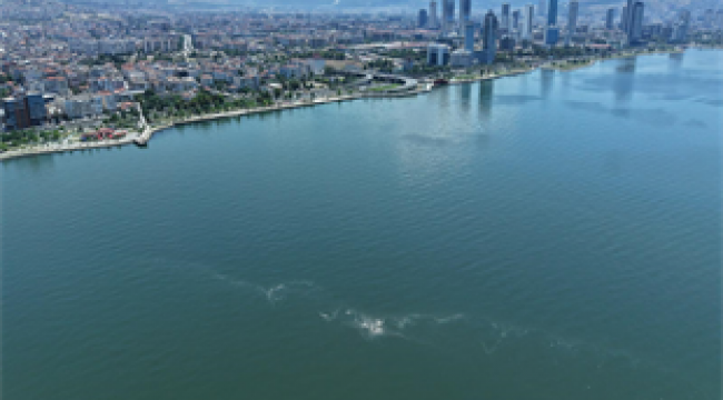 İzmir Körfezi'nde 14'üncü kez kirlilik tespit edildi