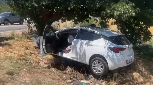 Sollama yaparken ağaca çarptı: 4 ağır yaralı