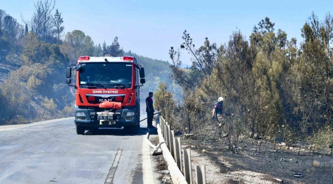 İzmir İtfaiyesi bukalemunu hayata döndürdü